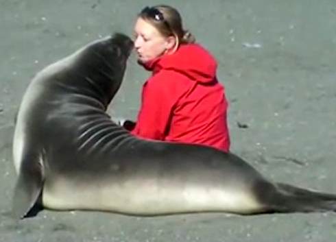 seal nuzzles woman