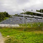 solar panels in Fukishima - Rob Gilhooly