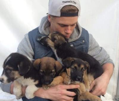 puppies found by olympic skier-Kenworthy