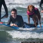 surfing dog makes wish come truw-KillerImageDotCom