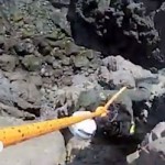 cliff rescue of dog from helicopter