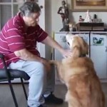 elderly with dog-APvideo