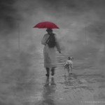 walking_w_umbrella_dog_cc-flickr-h_koppdelaney
