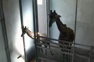 Screen Shot 2014-08-17 at 11.53.36 AM 1