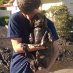 dachsund-in-mudslide-Bill_Pyles