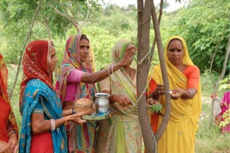 111 trees planted-India-women