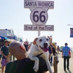 poh adventure santa monica instagram