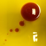 surprising kitchen vinegar bubbles fdecomite CC