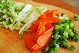 Scallions, Carrots, and Chinese Cabbage chopped for stir fry