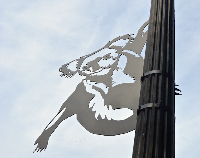 K is for Koala CC Terry Turner