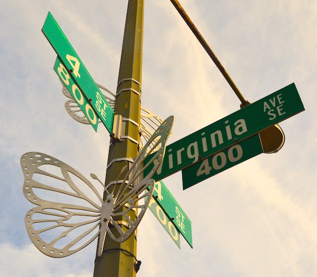 V is for Viceroy Butterfly CC Terry Turner