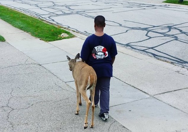 Boy and blind deer anonymous imgur