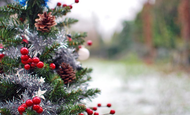 Adding to the Christmas Tree 🎄♥️💚#fyp #christmas #cheistmascountdown