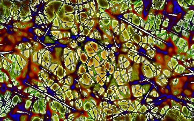 neurons multiple sclerosis cc geralt