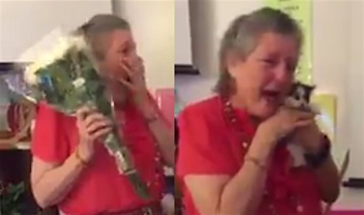 WATCH Students Surprise Teacher with Kitten After She Loses Her Cat ...
