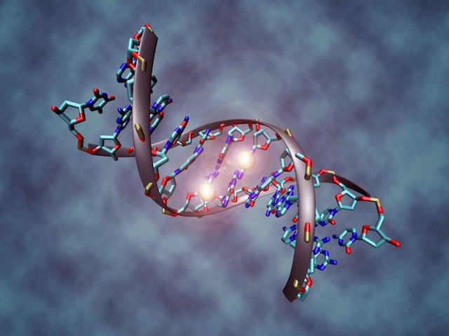 DNA_methylation-Gene Editing