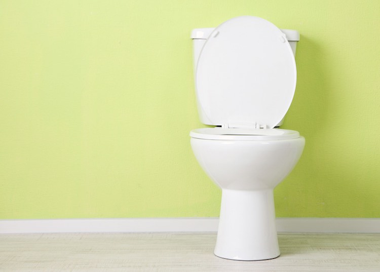 Saltwater Toilets May Soon Begin Saving Fresh Water Around the World Thanks to New Red Sea Bacteria - Good News Network