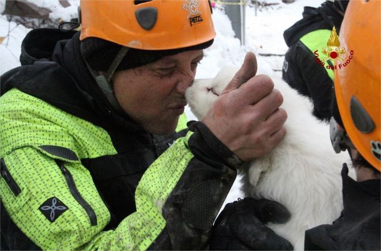 Firefighter Kissing Pup-Italian Fire Department