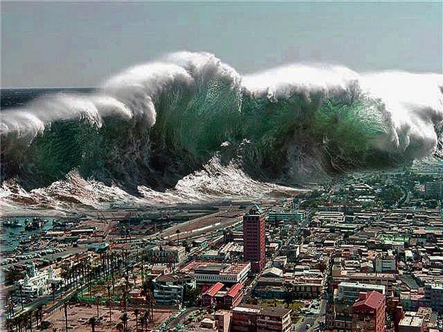 Image result for TSUNAMI