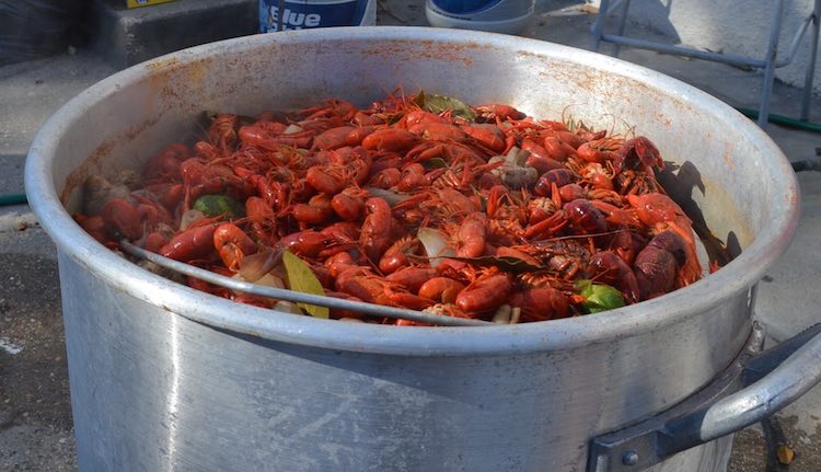Crawfish Boiling in Pot-McKinley Corbley