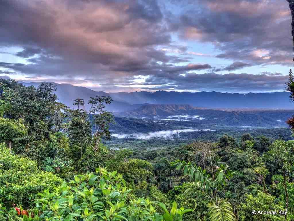 Amazon Rainforest Cc Ecuador Megadiverso
