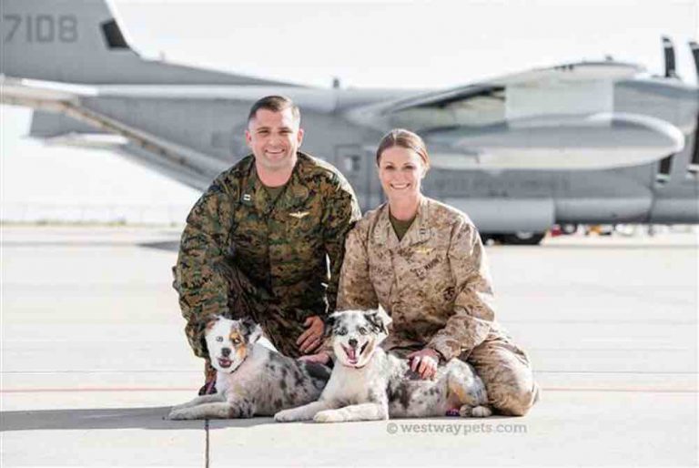 Military Couple Helps Care For Pets of Deployed Soldiers (And You Can Too)