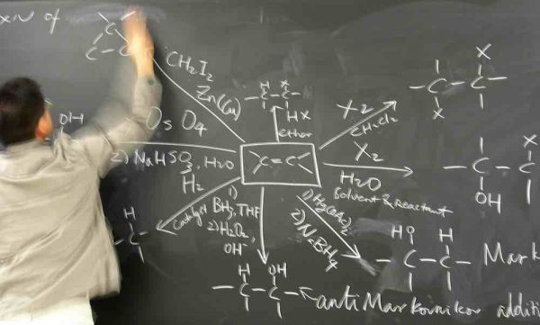 Role Model Archives - Page 6 of 10 - Good News Network