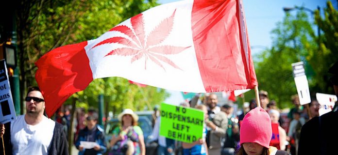 Canada marijuana demonstration flag-CC-Cannabis Culture-Danny Kresnyak