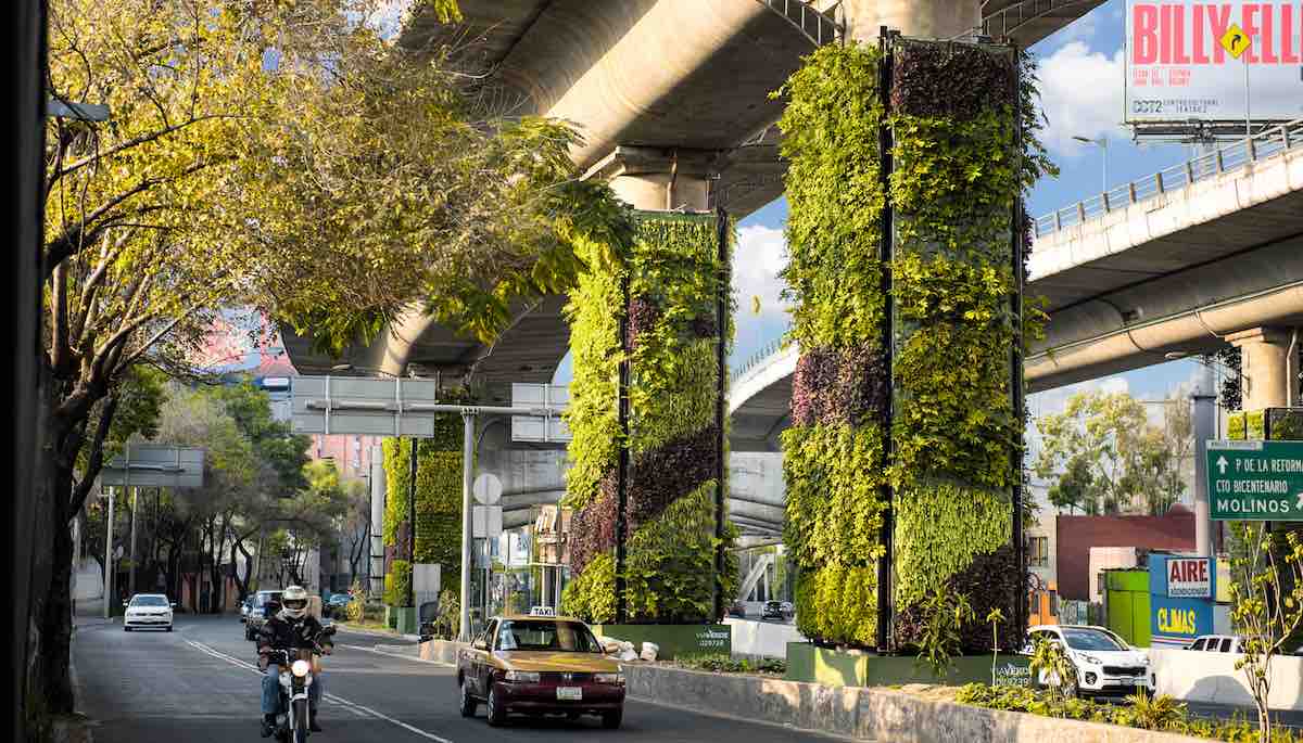 Vertical gardens in Mexico City to combat pollution