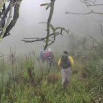 Stressed? This Study Says You Simply Need a 20-Minute ‘Nature Pill’