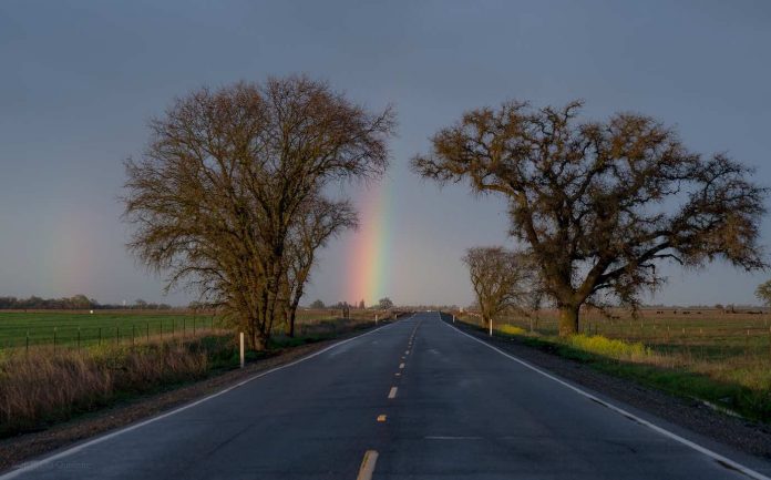 rainbow on road with trees-CC-Lisa Ouellette