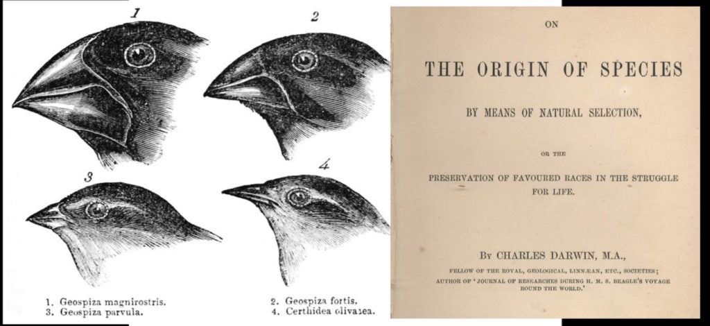 Good News In History, November 24