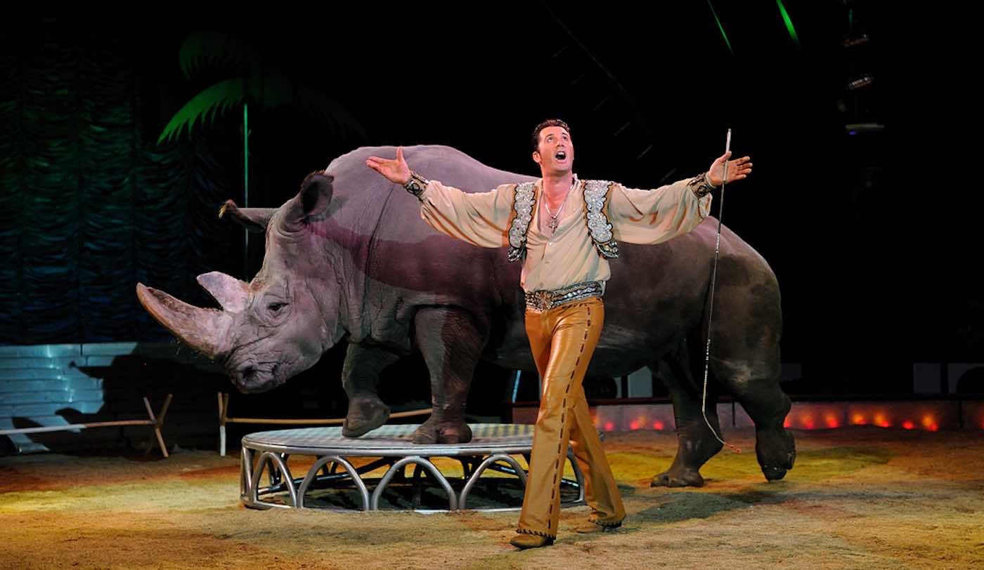 In One Week, Two US States Become First in Nation to Ban Wild Animal Use in  Circus Acts