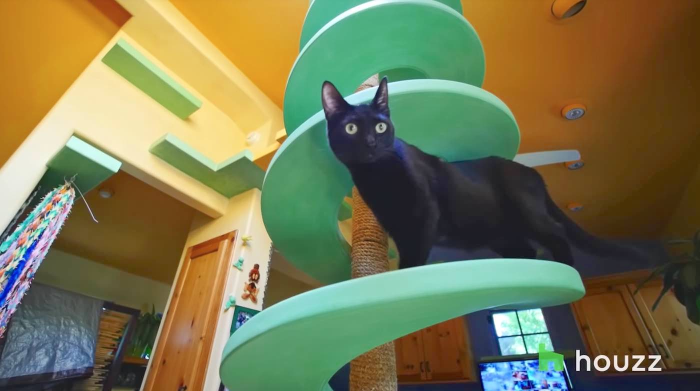 Un arquitecto gasta 40.000 $ en hacer un parque temático para gatos en su  casa