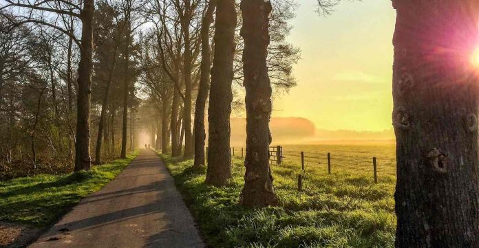 morning sun road field dew light-cc-Maurice Koop