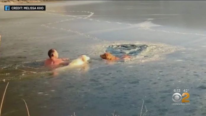 Timofey Yuriev Rescue-Melissa Kho via CBS New York