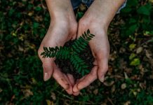 Planting Handful of Seeds in a Bare Yard Could Reduce Stress Levels As Much As 8 Mindfulness Sessions