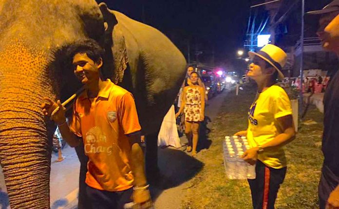 Elephant Rescue and Pedestrians-Samui Elephant Haven Facebook