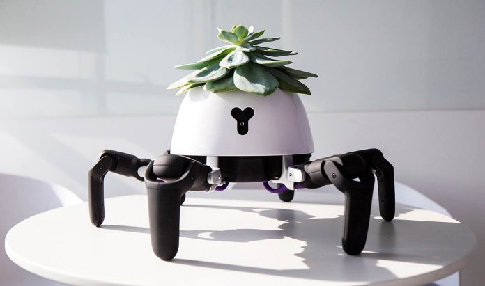 Hexa the Plant Robot-Vincross Sun Tianqi
