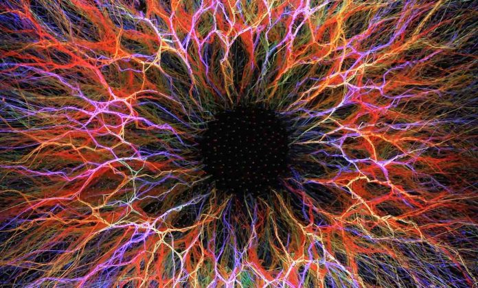 Rainbow String Art 8-SWNS