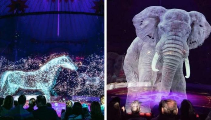 Elephant and Circus Horse Hologram-Optoma EMEA Youtube