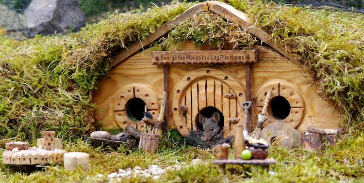 Photographer Builds Adorable Tiny Log Cabins in His Backyard to Keep Mouse  Families Safe From Cats