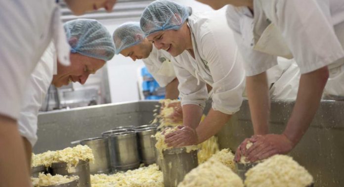 People-Making-Cheese-Wensleydale-Cheese-cropped-released