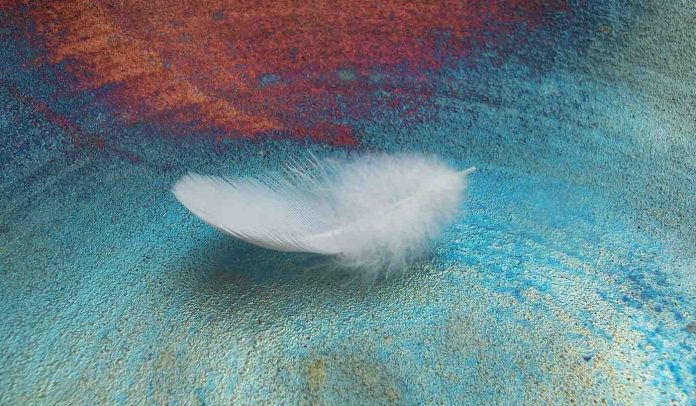 feather in pool aqua-ceramics-cropped-cc-featherlite