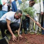 Ethiopia May Have Just Shattered World Record By Planting 350 Million Tree Saplings in One Day