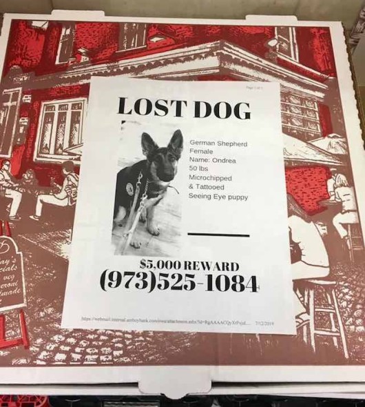 Instead of Using Milk Cartons to Search for Missing People, Pizzeria is ...