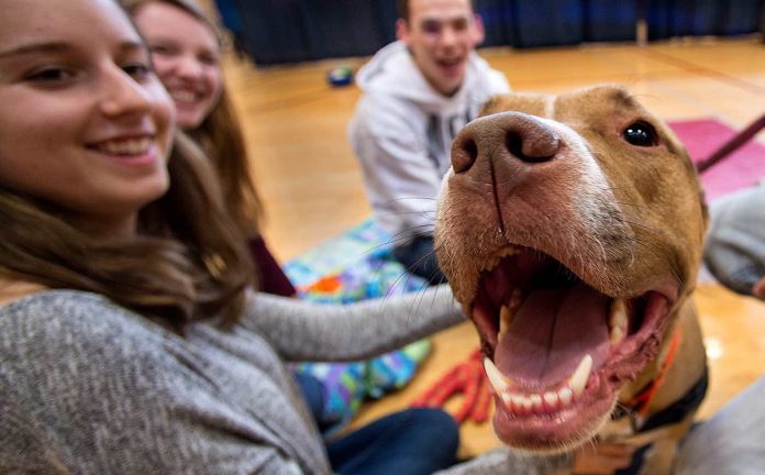 Students With Dog-Washington State University Released