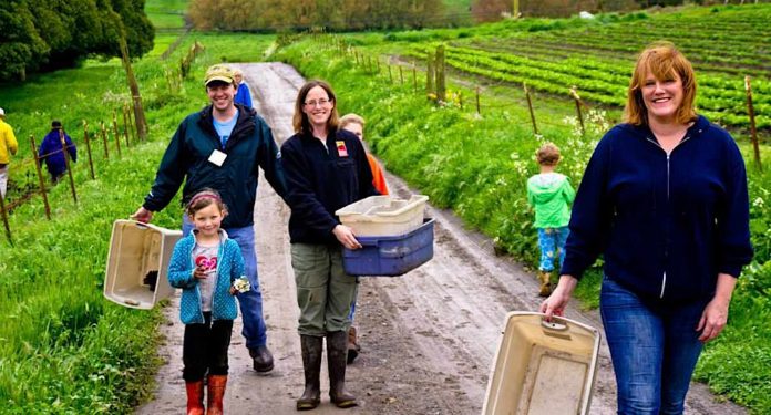 farm crops harvest family-FB-Gary Cedar:Cropmobster