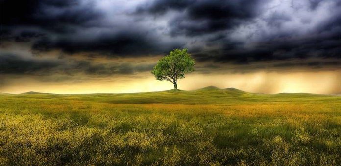 storm clouds over tree in green meadow-nature-cc-Zooey