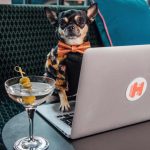 If You Like Globe-Trotting Adventures, You and Your Pup Can Apply to Be ‘Canine Hotel Critics’